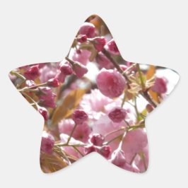 Japanse Cherry Trees Ster Sticker