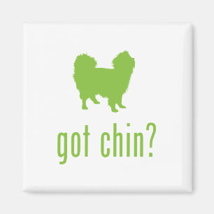 Japanse Chin Magneet