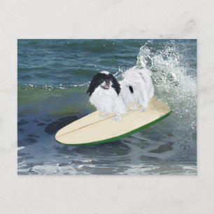 Japanse Chin Surfen Briefkaart