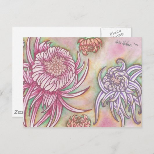 Japanse Chrysanthema Briefkaart (Voorkant / Achterkant)