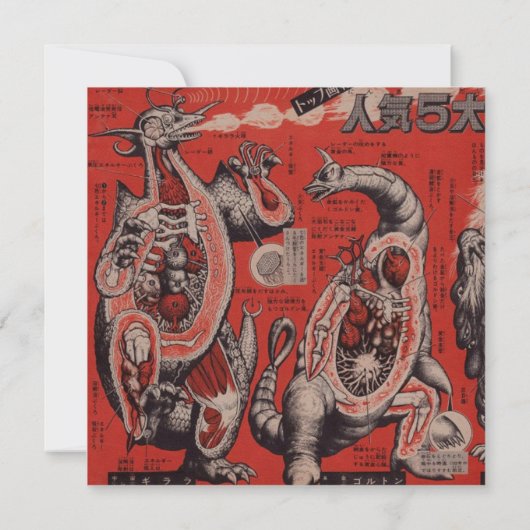  Japanse Cutaway Monster Flat Kaart (Achterkant)