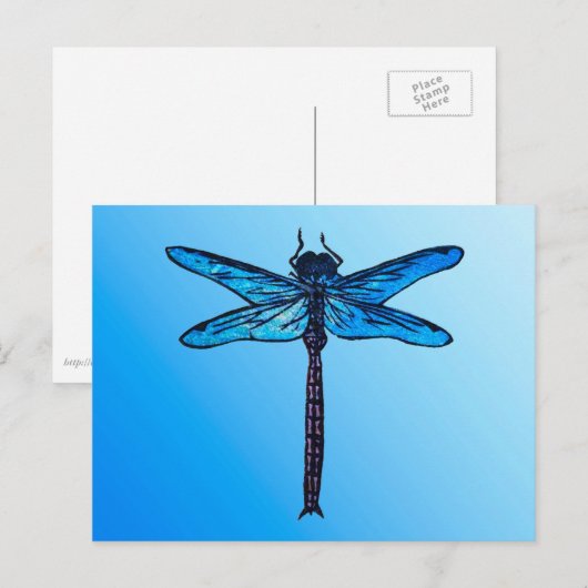  Japanse dragonfly, saffierblauw Briefkaart (Voorkant / Achterkant)