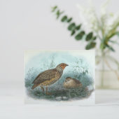 Japanse  driekwart-illustratie briefkaart (Staand voorkant)