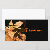 Japanse Esdoorn 1b Dankjewel Fotokaart Bedankkaart (Voorkant / Achterkant)