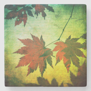 Japanse esdoorn blad schrift herfst oranje groen stenen onderzetter