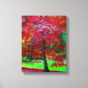 Japanse Esdoorn Canvasprint Canvas Afdruk
