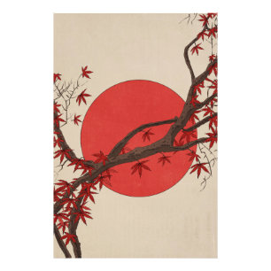 Japanse Esdoorn Foto Afdruk