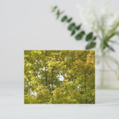 Japanse Esdoorn in de herfst Briefkaart (Staand voorkant)
