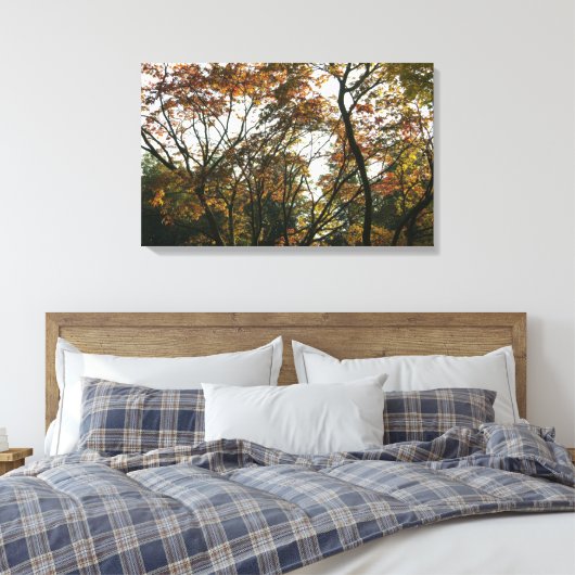 Japanse esdoorn in de herfst II Canvas Afdruk (Insitu (Slaapkamer))