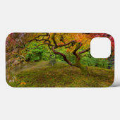 Japanse esdoorn in herfstkleuren Case-Mate iPhone case (Achterkant (horizontaal))