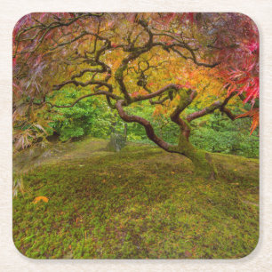 Japanse esdoorn in herfstkleuren kartonnen onderzetters