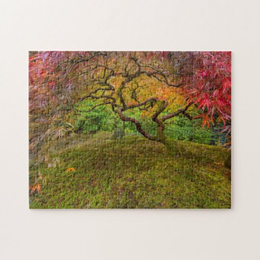 Japanse esdoorn in herfstkleuren legpuzzel (Horizontaal)