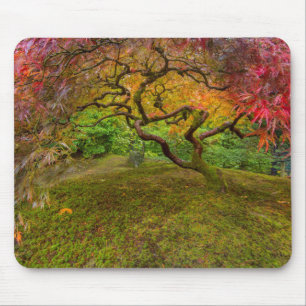 Japanse esdoorn in herfstkleuren muismat