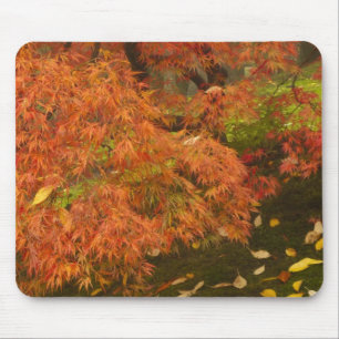 Japanse esdoorn in herfstkleuren muismat