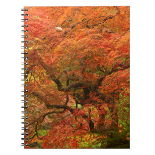 Japanse esdoorn in herfstkleuren notitieboek