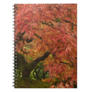 Japanse esdoorn in herfstkleuren notitieboek