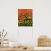 Japanse esdoorn in herfstkleuren poster (Keuken)