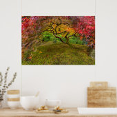 Japanse esdoorn in herfstkleuren poster (Keuken)