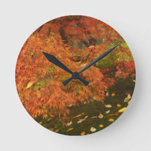 Japanse esdoorn in herfstkleuren ronde klok