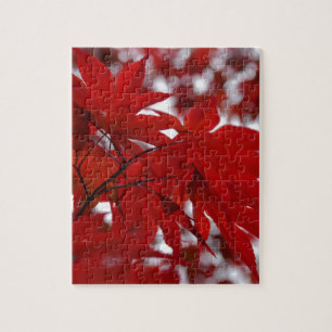 Japanse Esdoorn Legpuzzel