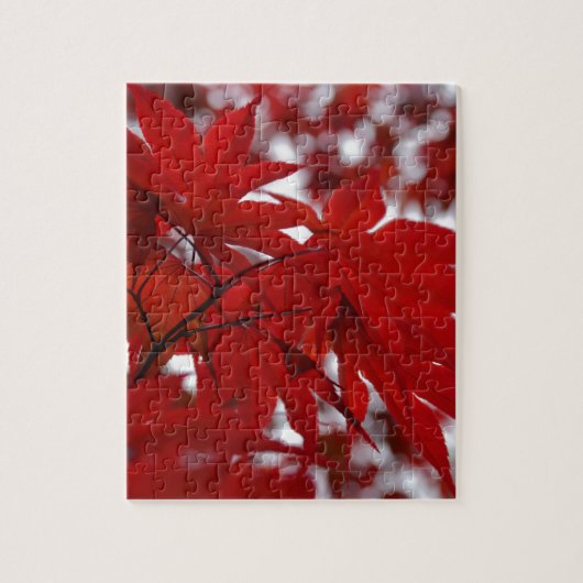 Japanse Esdoorn Legpuzzel (Verticaal)