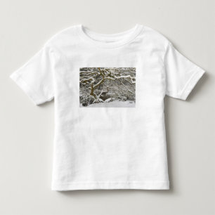 Japanse esdoorn met sneeuw bedekt kinder shirts