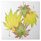 Japanse esdoorn op een keramische Tegel (2) Tegeltje (Voorkant)