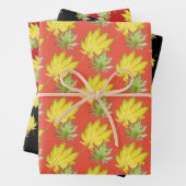 Japanse esdoorn op inpakpapier set (In situ)