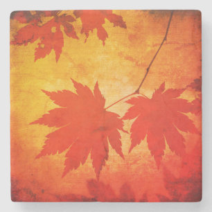 Japanse esdoornblad schrift herfst oranje stenen onderzetter