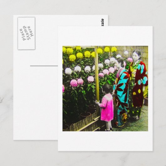  Japanse familie op het Show Chrysanthemum Briefkaart (Voorkant / Achterkant)