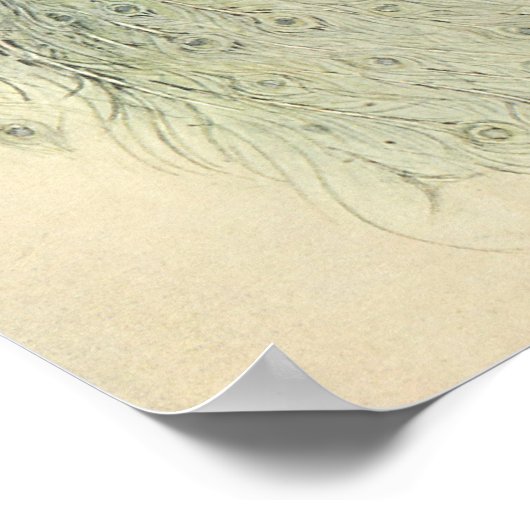  Japanse feiale Tale, de Moon Maiden Poster (Hoek)