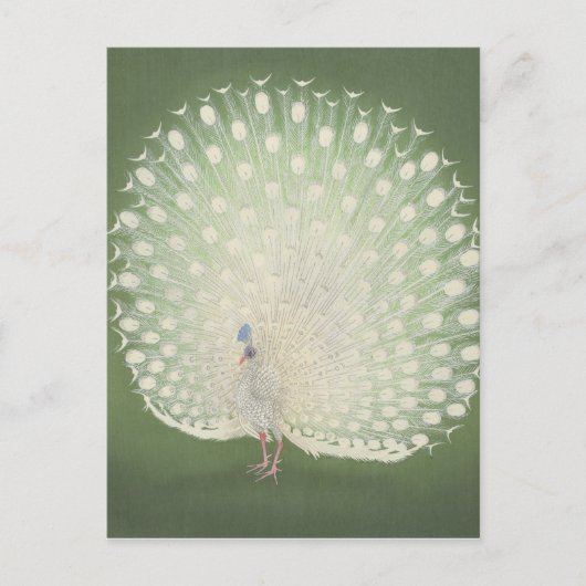  Japanse fijne kunst | Peacock Briefkaart (Voorkant)