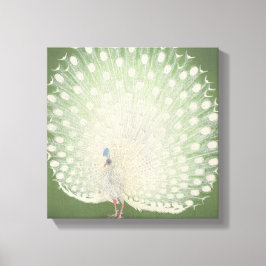 Japanse fijne kunst | Peacock Canvas Afdruk