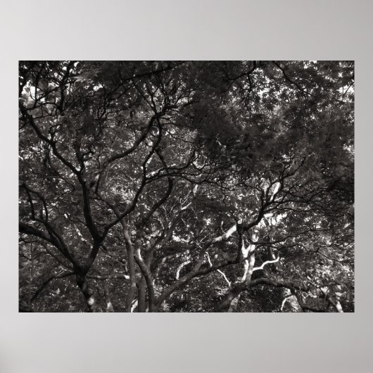 Japanse filialen poster (Voorkant)