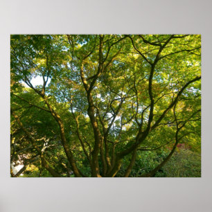 Japanse filialen VI Poster