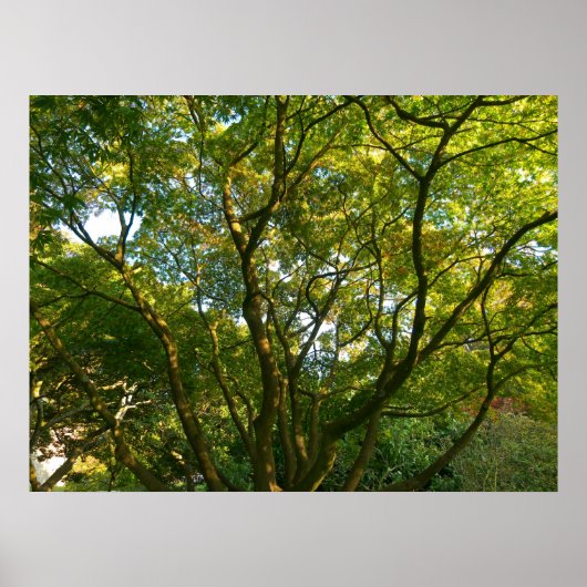 Japanse filialen VI Poster (Voorkant)