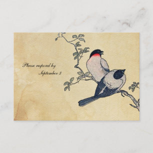 Japanse Finches rsvp met enveloppen