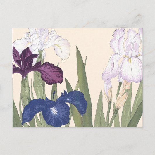 Japanse Floral Art Paars Iris Flowers Briefkaart (Voorkant)