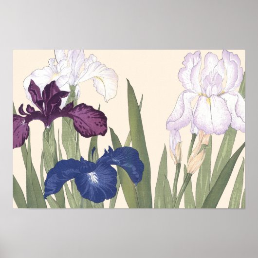 Japanse Floral Art Paars Iris Flowers Poster (Voorkant)
