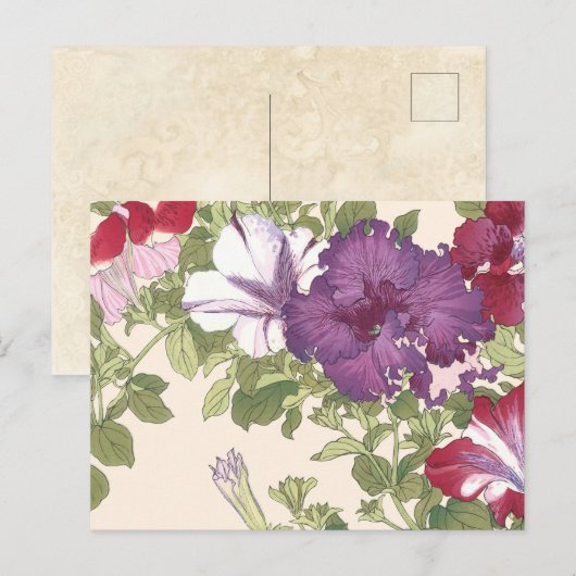  Japanse Floral Art Paars Morning Glories Briefkaart (Voorkant / Achterkant)