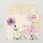  Japanse Floral Pink Carnationbloemen Briefkaart (Voorkant / Achterkant)