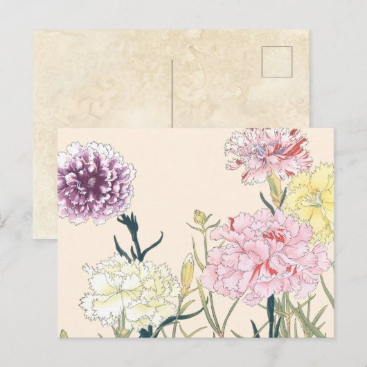  Japanse Floral Pink Carnationbloemen Briefkaart (Voorkant / Achterkant)