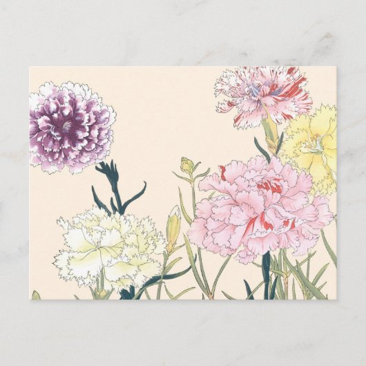  Japanse Floral Pink Carnationbloemen Briefkaart (Voorkant)