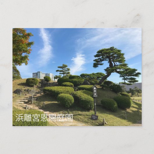 Japanse Garden Hill Briefkaart (Voorkant)