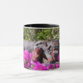 Japanse gargoyle mok (Midden)