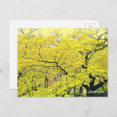 Japanse gele gingko-reisdruk briefkaart (Voorkant / Achterkant)