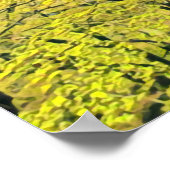 Japanse gele gingko-reisdruk poster (Hoek)