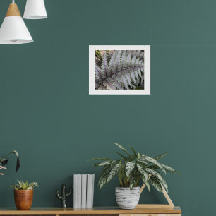 Japanse Geschilderde Varens Bloemfotografie Poster