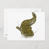 Japanse gewone katvis briefkaart (Voorkant / Achterkant)