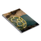 Japanse Glass Vist Float Notitieboek (Rechterzijde)